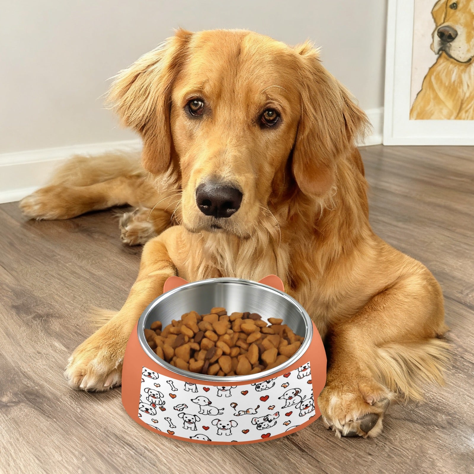 A Rich and Rich Playtime Doodles Orange Pet Bowl - Rich and Rich Homeopportunities