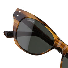 Load image into Gallery viewer, Belize Gato Acetate Sunglasses

