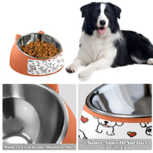Load image into Gallery viewer, A Rich and Rich Playtime Doodles Orange Pet Bowl - Rich and Rich Homeopportunities
