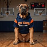 Rich and Rich Hoop Hounds Blue Pet Hoodie