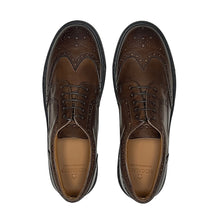 Load image into Gallery viewer, Men&#39;s Don Giovanni Wingtips - Brown
