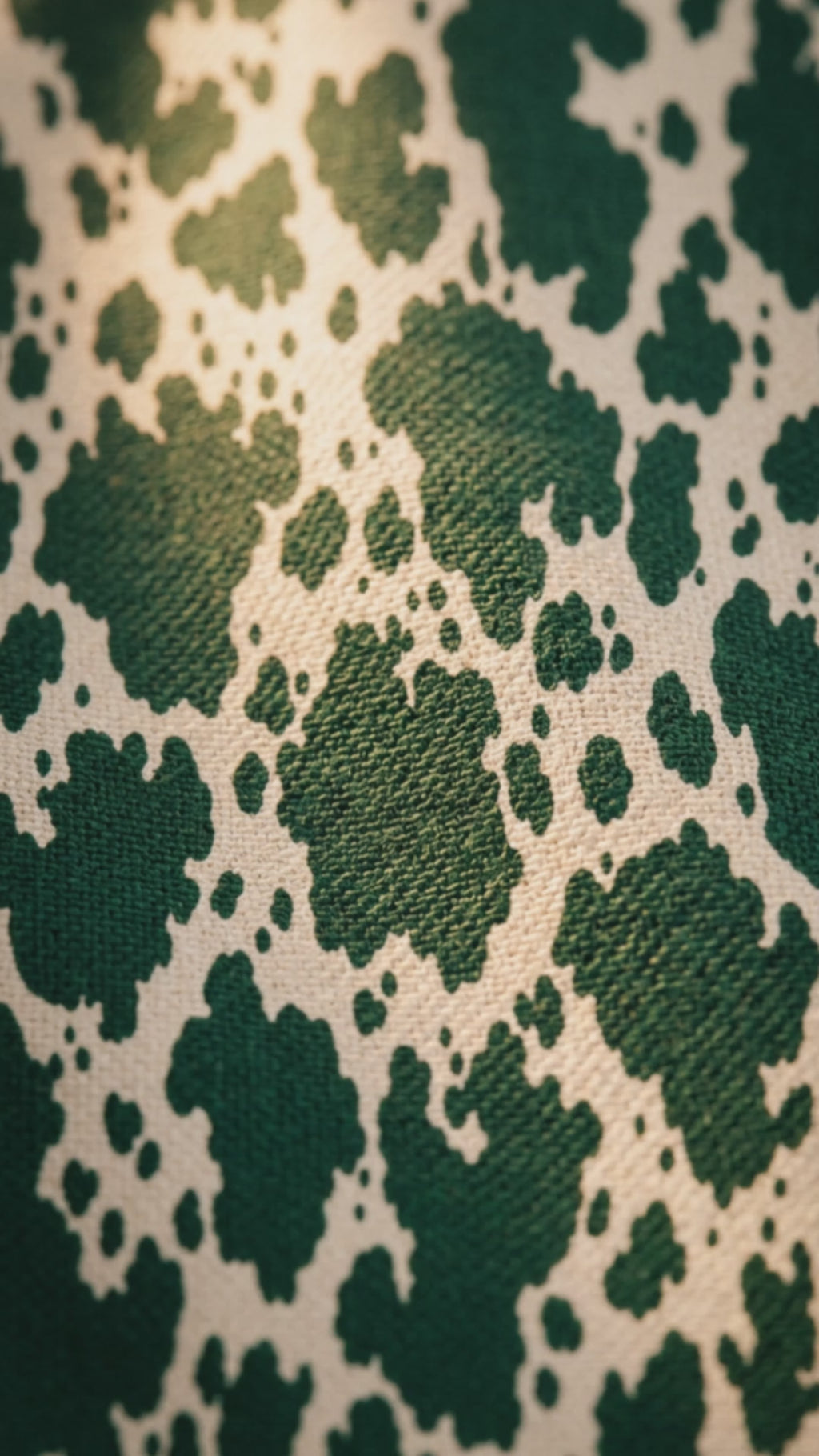 Foulard à pampilles chic pour femme Rich and Rich Emerald Ranch | Écharpe en imitation cachemire douce de marque
