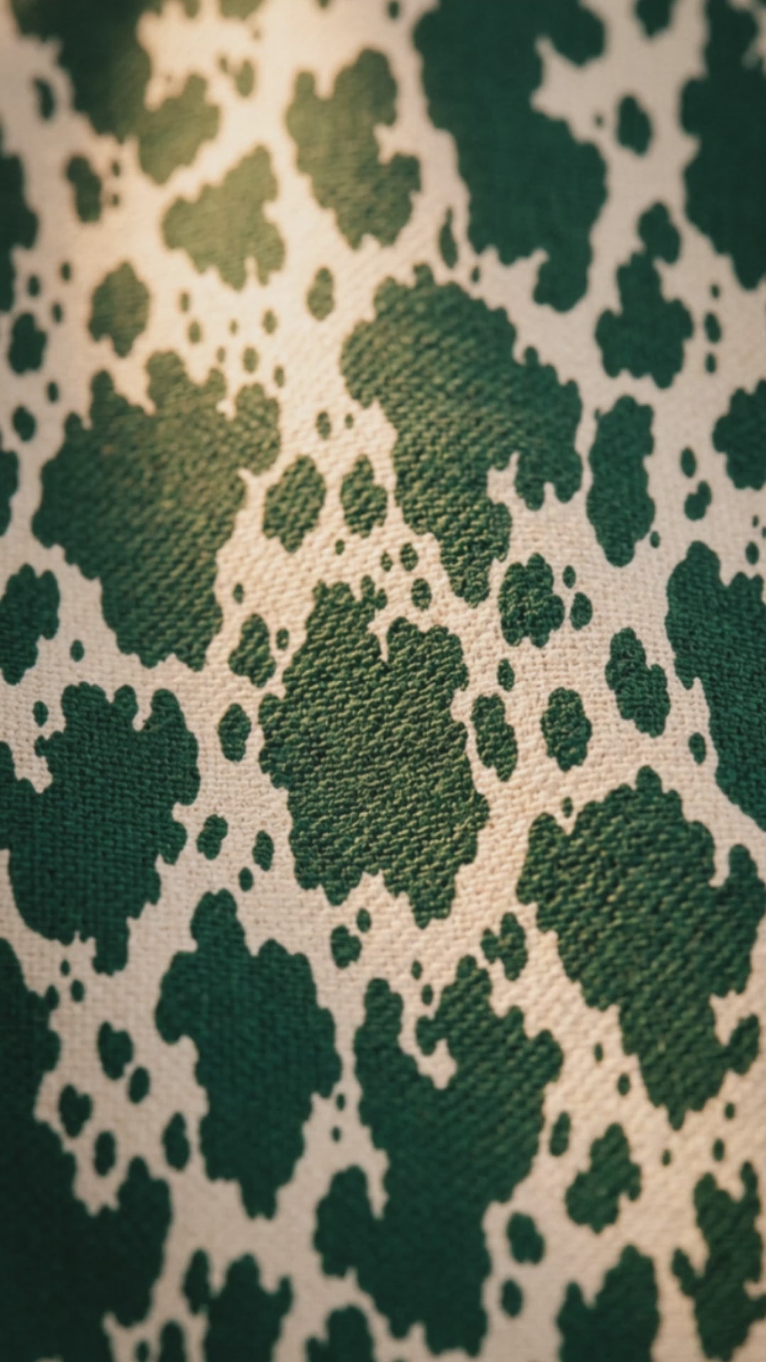 Foulard à pampilles chic pour femme Rich and Rich Emerald Ranch | Écharpe en imitation cachemire douce de marque